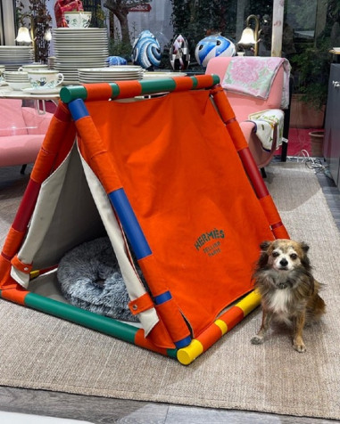 Hermes: Doghouse Cavaletti