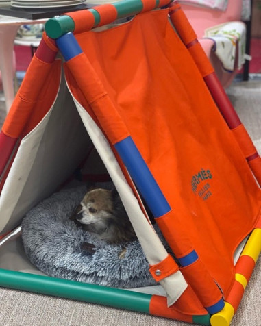 Hermes: Doghouse Cavaletti