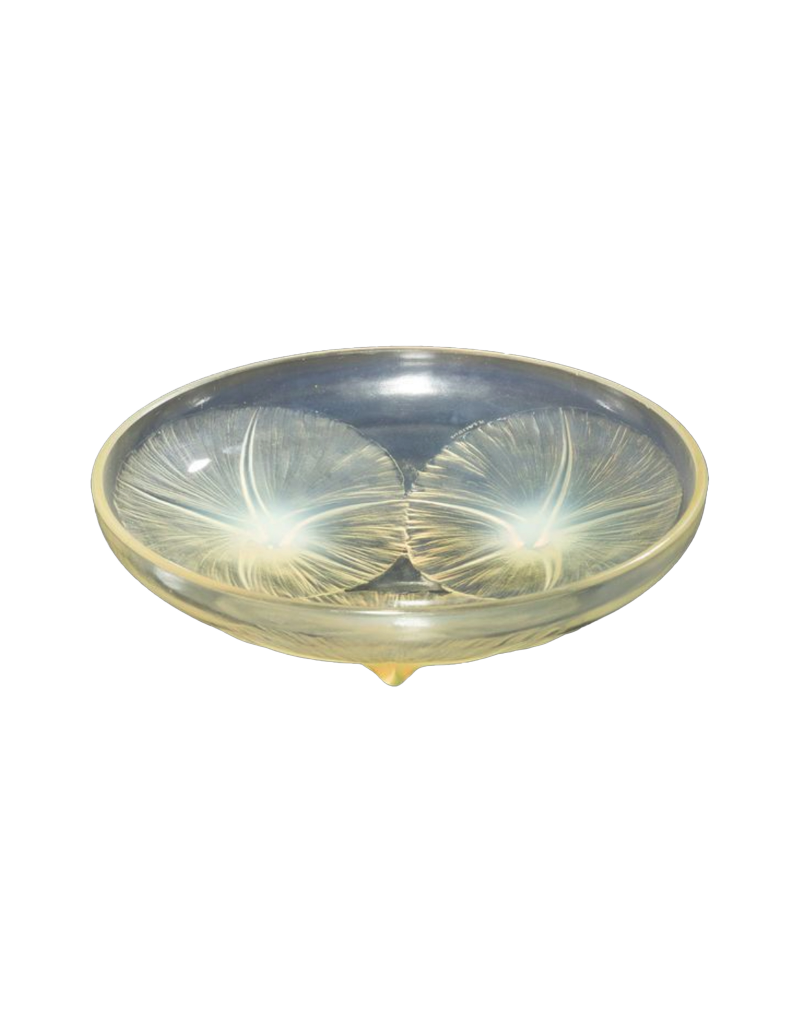 René LALIQUE (1860-1945) : Coupe « Volubilis » Opalescente .