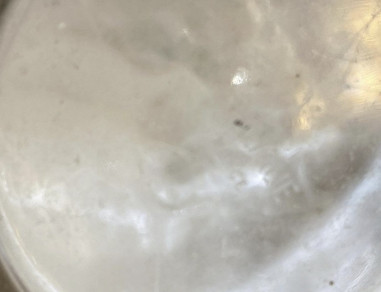 Rene Lalique : Vase Rennes 1933