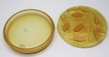 René Lalique: "CLEONES" Yellow Tinted...