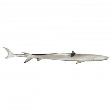 Gio Ponti : Requin en argent massif