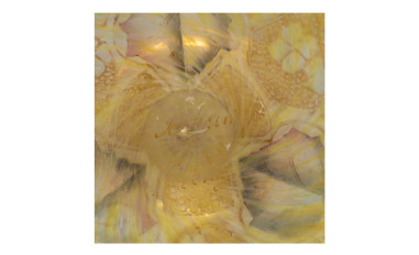 Daum VASE HYDRANGEAS AND BUTTERFLIES
