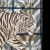 HERMES ,Plaid Tigre Altaï