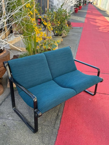 Bruce Hannah & Andrew Morrison: Knoll...