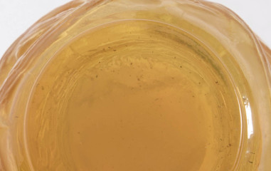 1921 - René Lalique, “Ronces” Vase,...