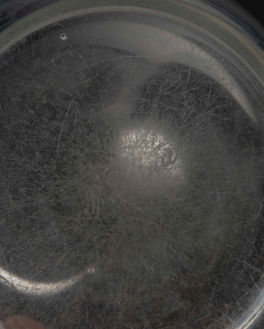 1925 - René Lalique ,Vase "TOURTERELLES"
