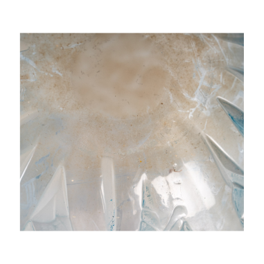 Vase Lalique "Baies"